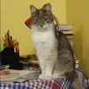 Отзыв от Эмма Абрамова